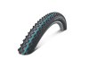 Reifen Schwalbe RACING RAY Evo, SnakeSkin, TLE