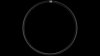NEWMEN Rim Performance 30 24  32h
