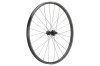 NEWMEN Wheel Phase 30 light VONOA 29  24h FADE CS SP 6B 12x148 XD