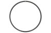 NEWMEN Rim Phase 30 light 29  28h