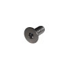 ORBEA Internal Battery Mounting Bolt M4x10 DINWild HT