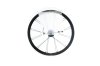 TERN Hinterrad Verge P10 22 x 20H,Kinetix Pro Disc, 135 mm Black