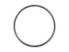Bontrager Rim Bontrager Paradigm Elite 25 Disc 700C 24H Blac