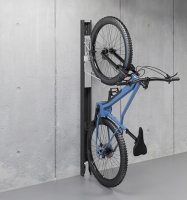 Biohort BikeLift Wandmontage dunkelgrau 