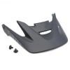 Giro Chronicle Visor L matte black